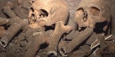 A number of human skeletons believed to date back to the Iron Age, were discovered on farmland in Erbil on Tuesday, December 2, 2025. Photo: Rudaw/screengrab