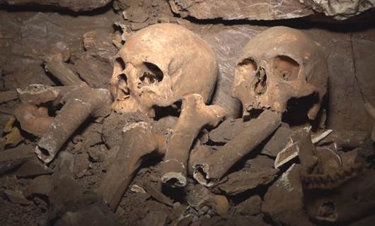 A number of human skeletons believed to date back to the Iron Age, were discovered on farmland in Erbil on Tuesday, December 2, 2025. Photo: Rudaw/screengrab