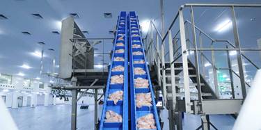 A poultry processing facility in Iraq. Photo: Iraqi ministry of agriculture.