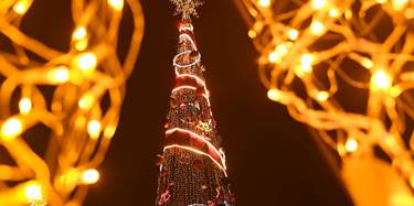 دارێکی کریسمس. وێنە: بڵند تاهیر - رووداو