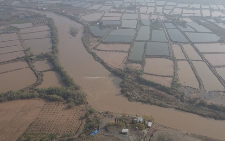 Drone shot of damaged fish ponds in the town of Taq Taq sub-district, Koya district, Erbil province. Photo: Rudaw/screengrab