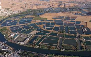 لافاوەکە هەزاران ماسی لەنێو برد.